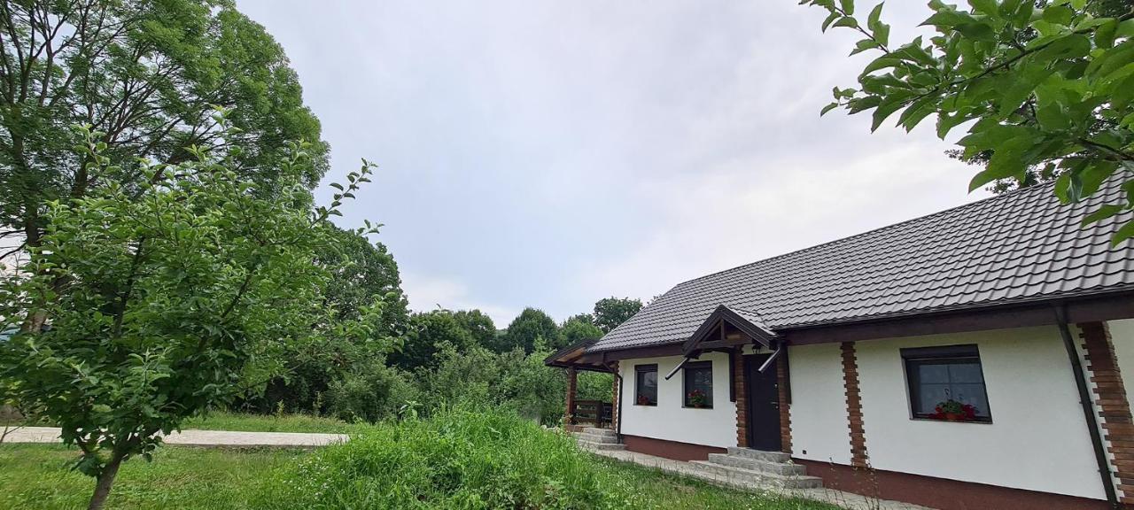 Villa Casuta Cu Bine Valea Lunga-Ogrea Exterior foto