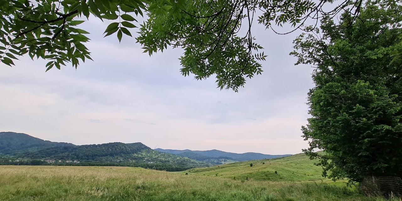 Villa Casuta Cu Bine Valea Lunga-Ogrea Exterior foto
