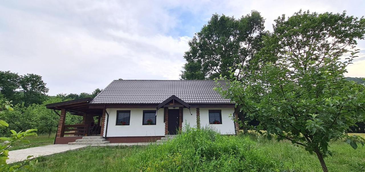Villa Casuta Cu Bine Valea Lunga-Ogrea Exterior foto